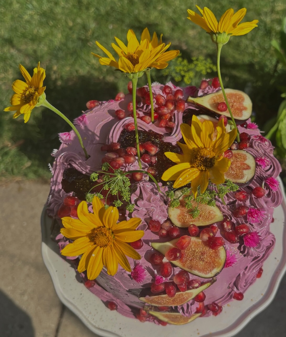 Pink swirled cake with sunflowers, figs and pomegranate outdoors