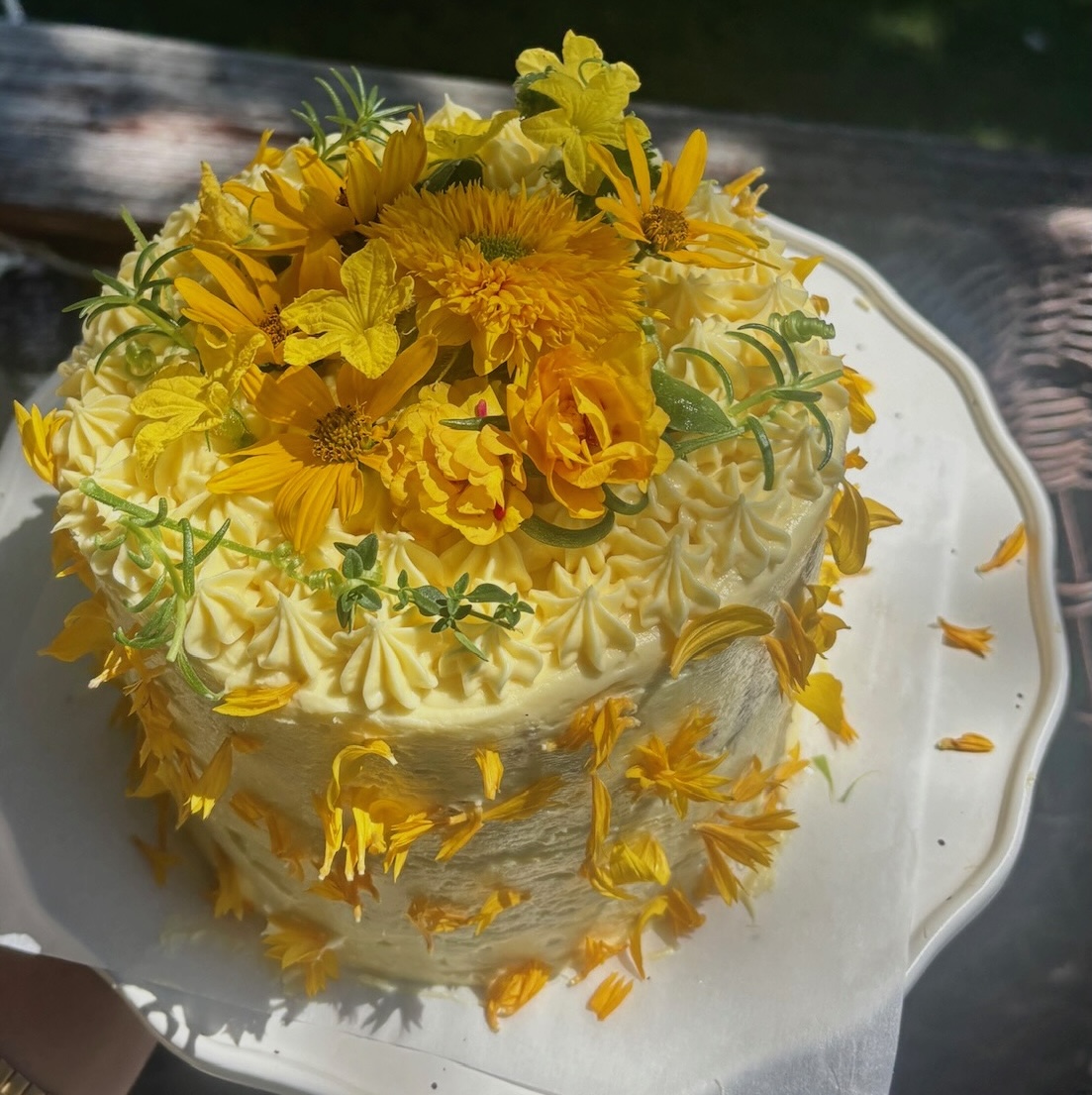 Yellow flower cake with rosemary in dappled sunlight